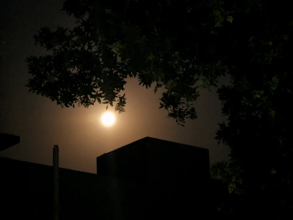 GIF uploaded by Faizan