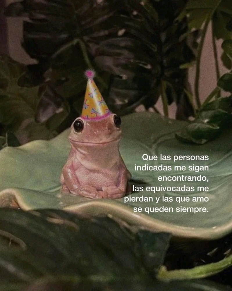 GIF subido por San