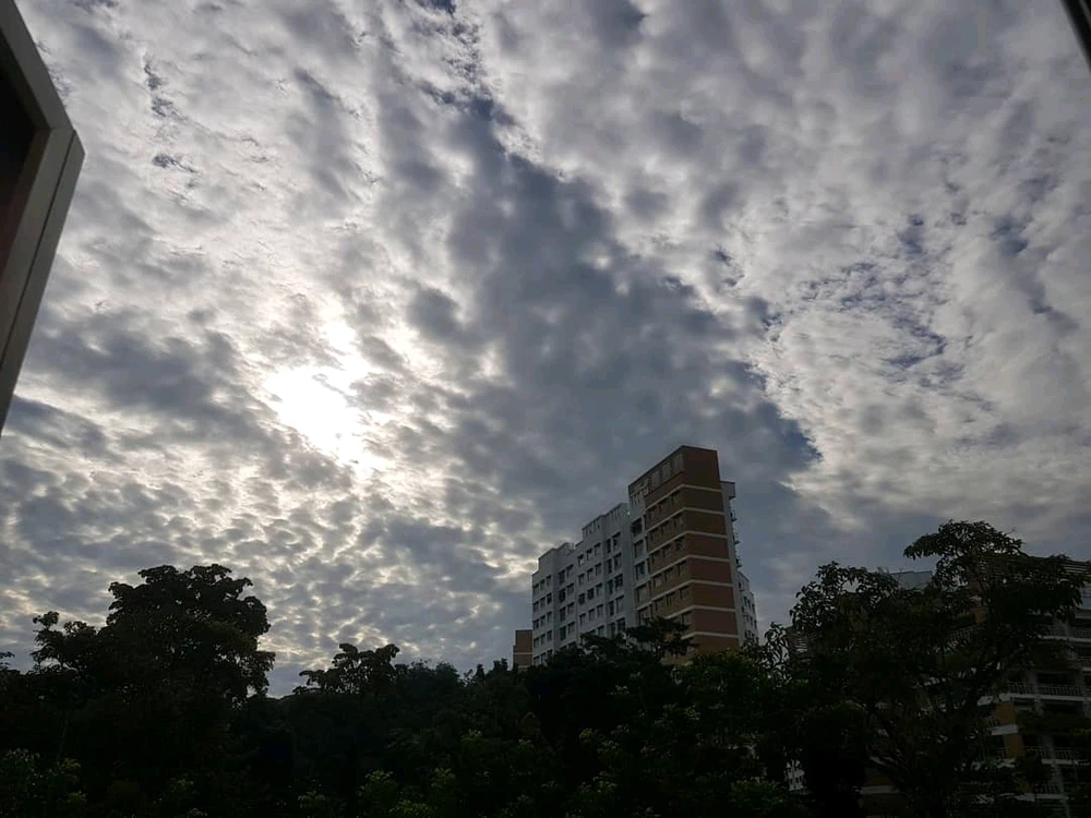 GIF uploaded by Vi