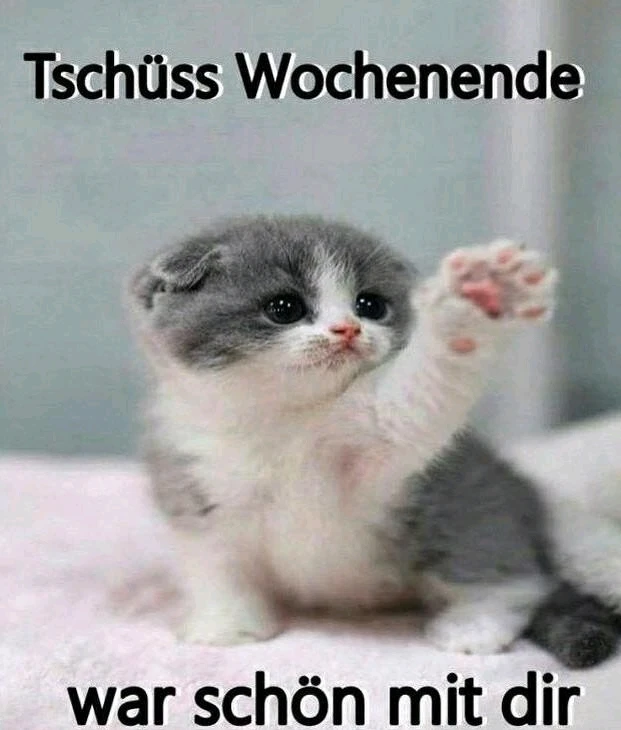 GIF hochgeladen von Sven
