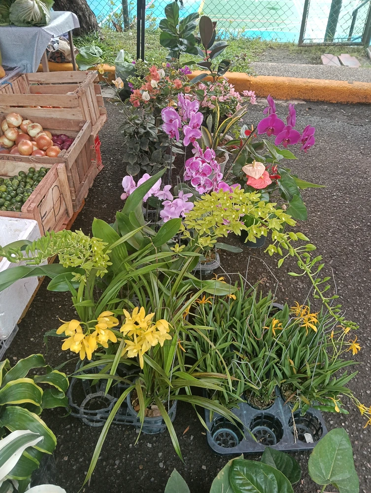 Image uploaded by Elizabeth