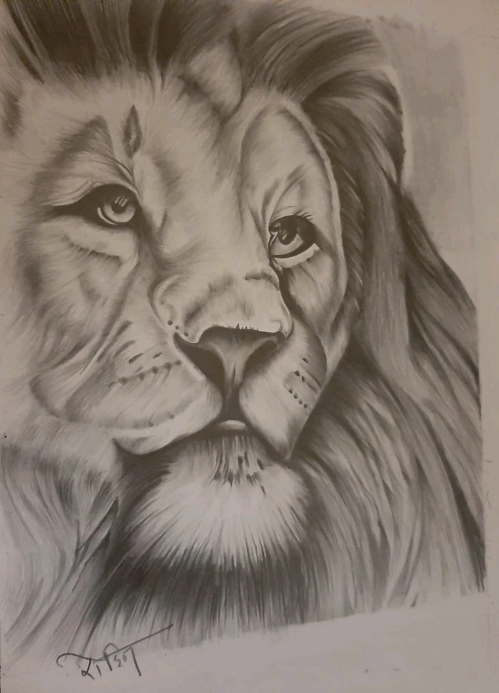 GIF uploaded by Rohit