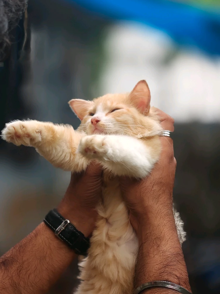 GIF uploaded by Abijith