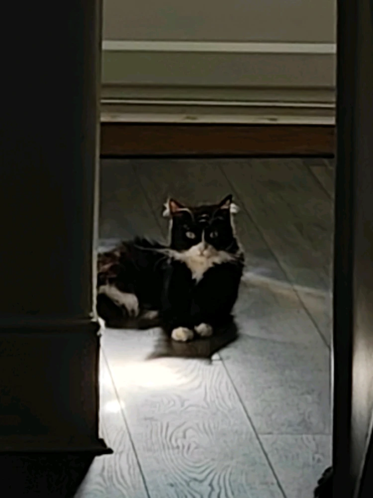 Image uploaded by Nicolae