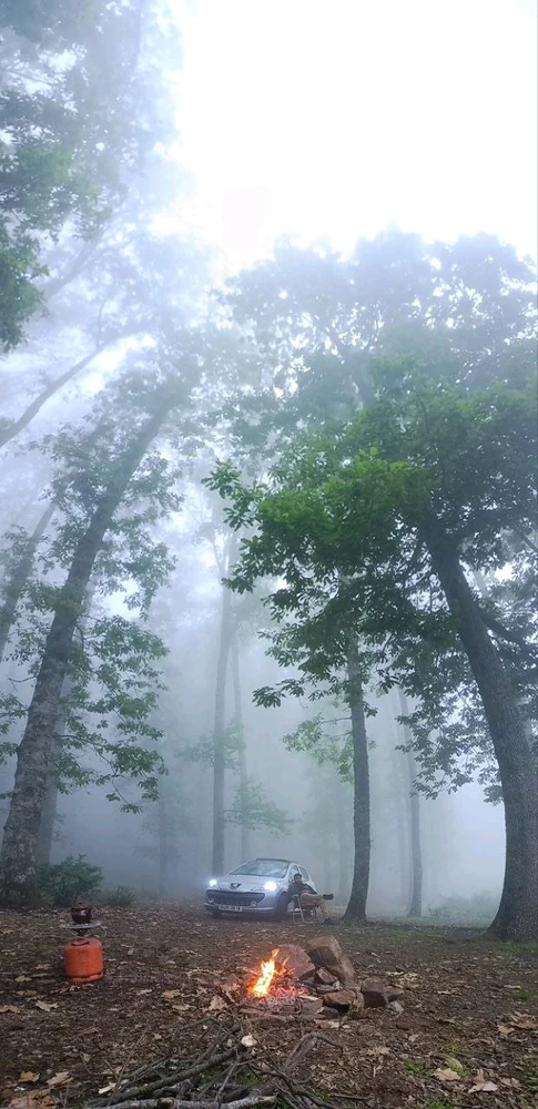 Image uploaded by Badis vadici