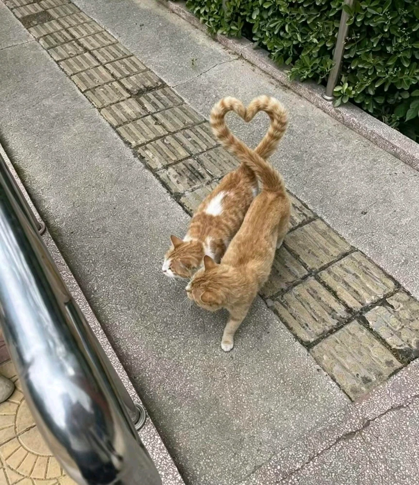 GIF uploaded by Aurora Christine