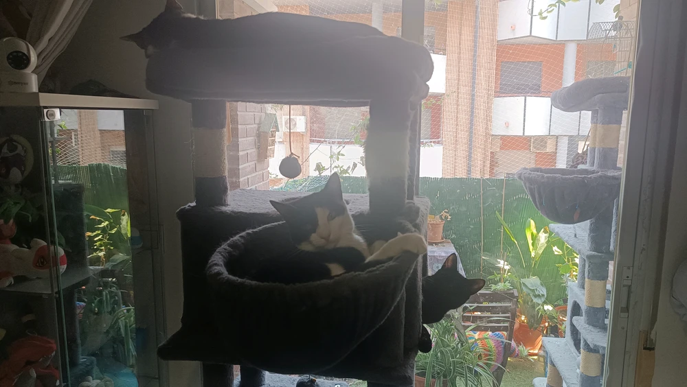 GIF subido por Andrew