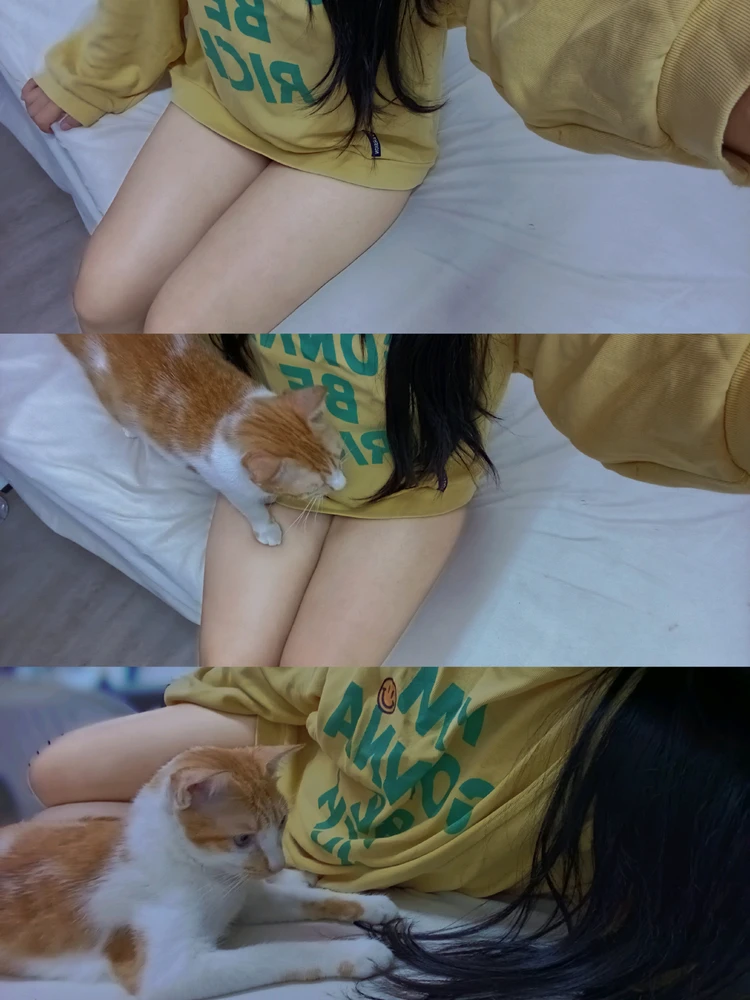 GIF อัปโหลดโดย Baifern