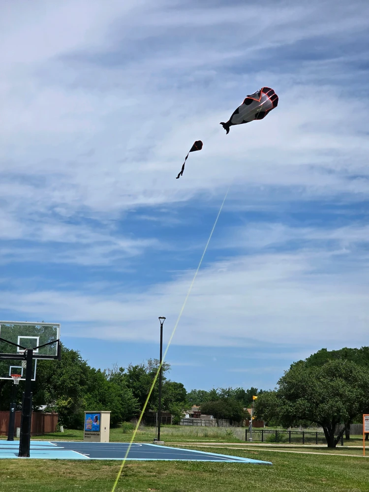 GIF uploaded by Gerardo
