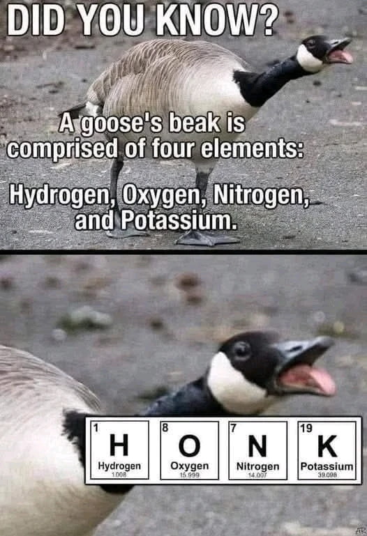 GIF uploaded by GorayaH