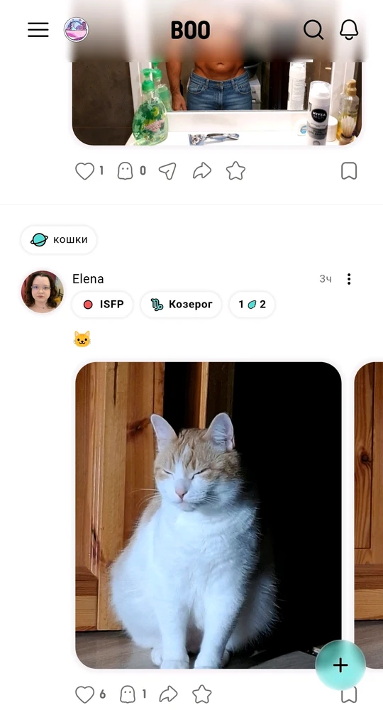 GIF загрузил Anna