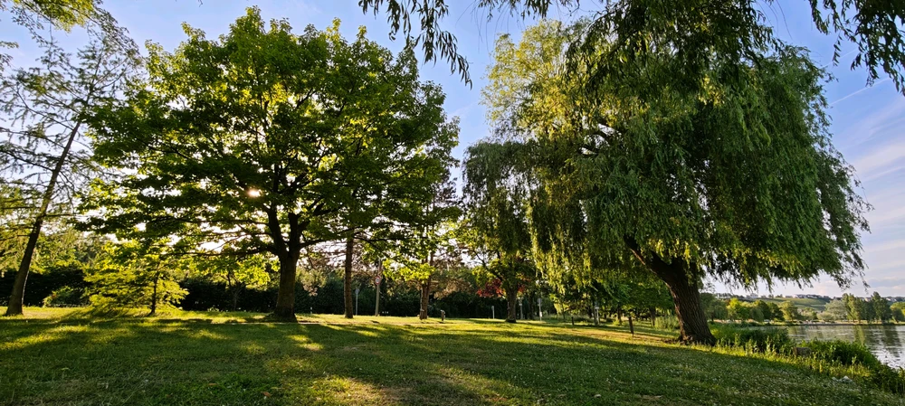 Image uploaded by Boriss