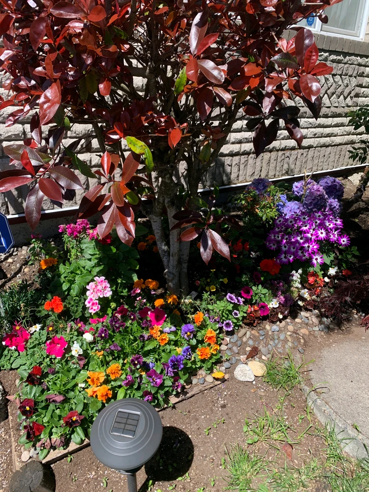 GIF uploaded by Gur