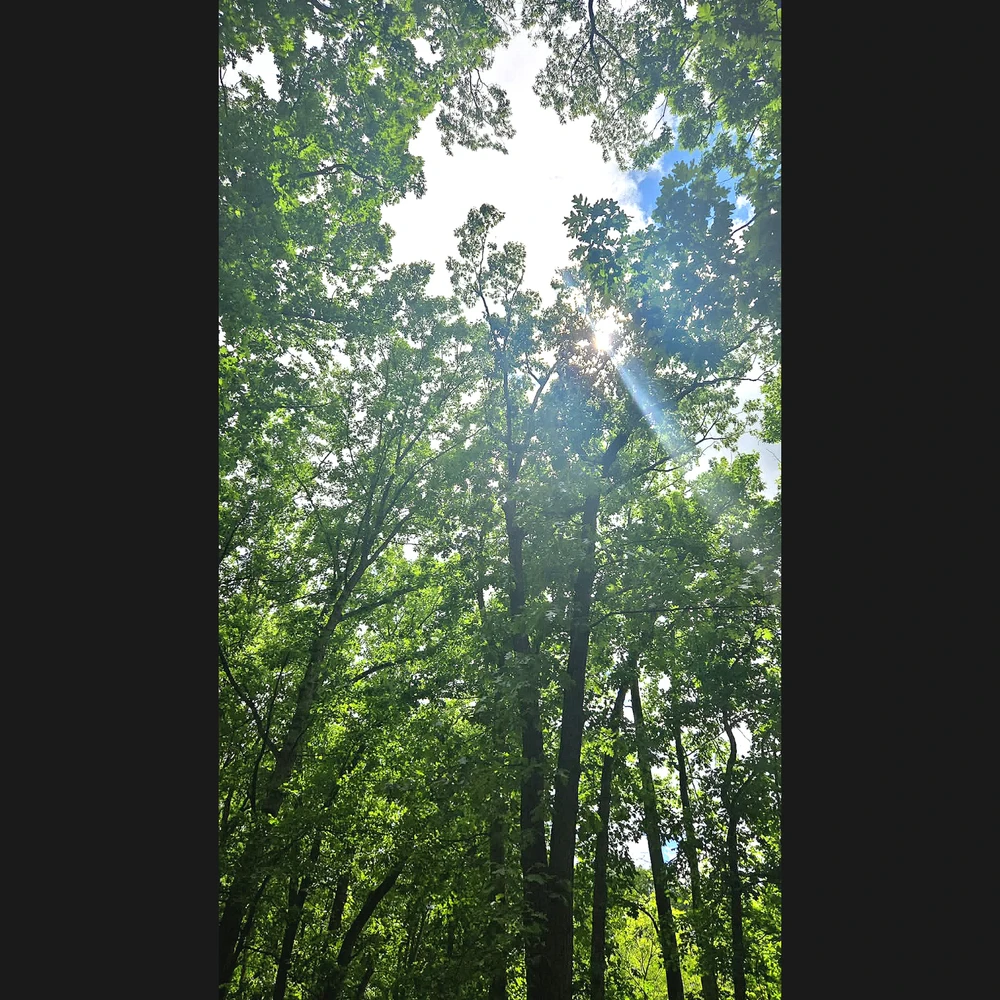 GIF uploaded by Vivi