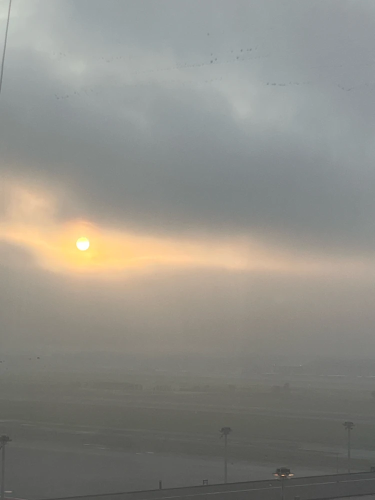 GIF uploaded by KM