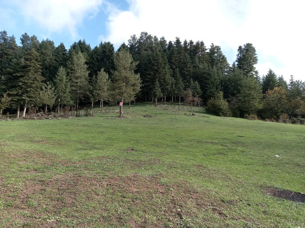 Image uploaded by kadir