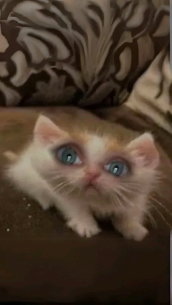 GIF uploaded by Finn