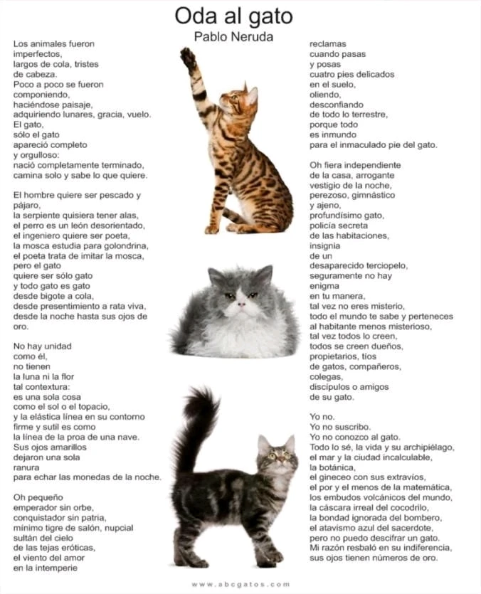 Imagen subida por Laura