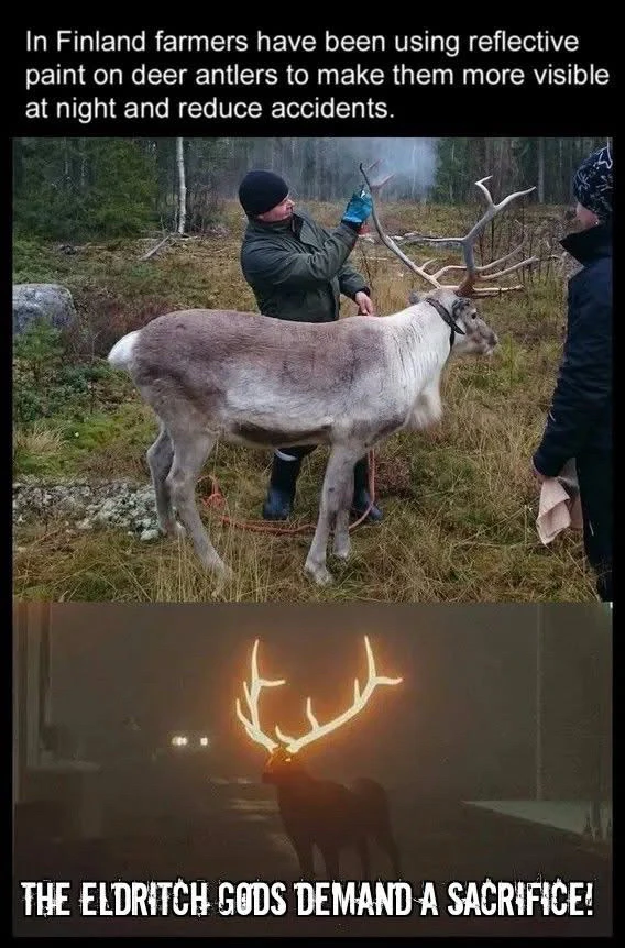 GIF uploaded by ℳ𝒾𝒹𝓃𝒾𝑔𝒽𝓉