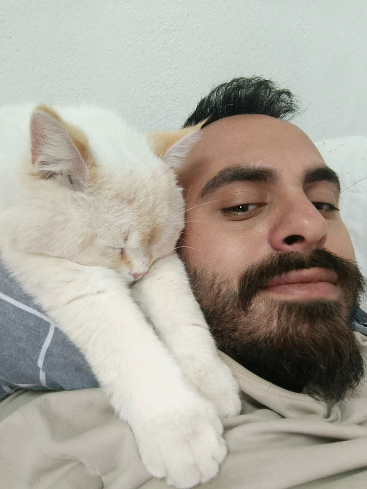 Safiyar tarafından yüklenen GIF