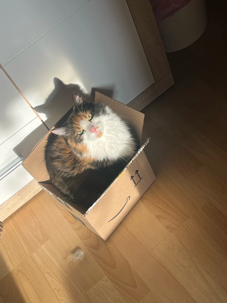 GIF hochgeladen von Theo
