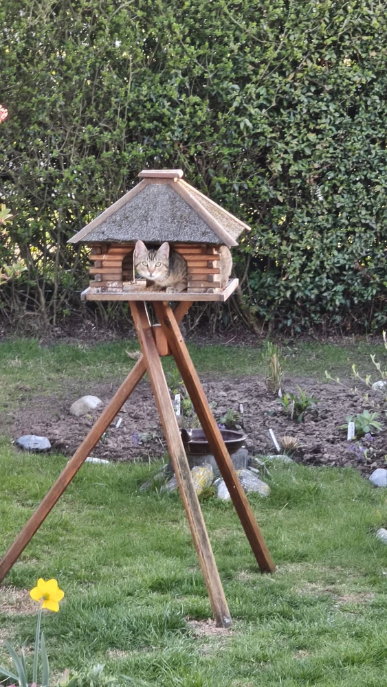 GIF hochgeladen von Sandra