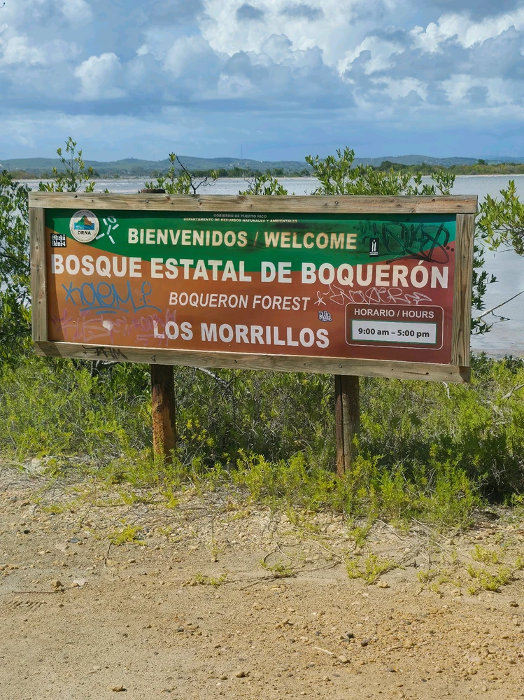 Imagen subida por Eliemil