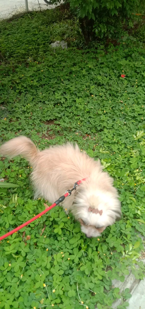 Image uploaded by Leyy