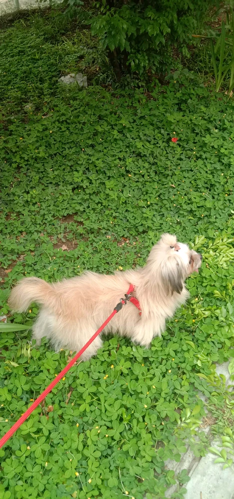 Image uploaded by Leyy