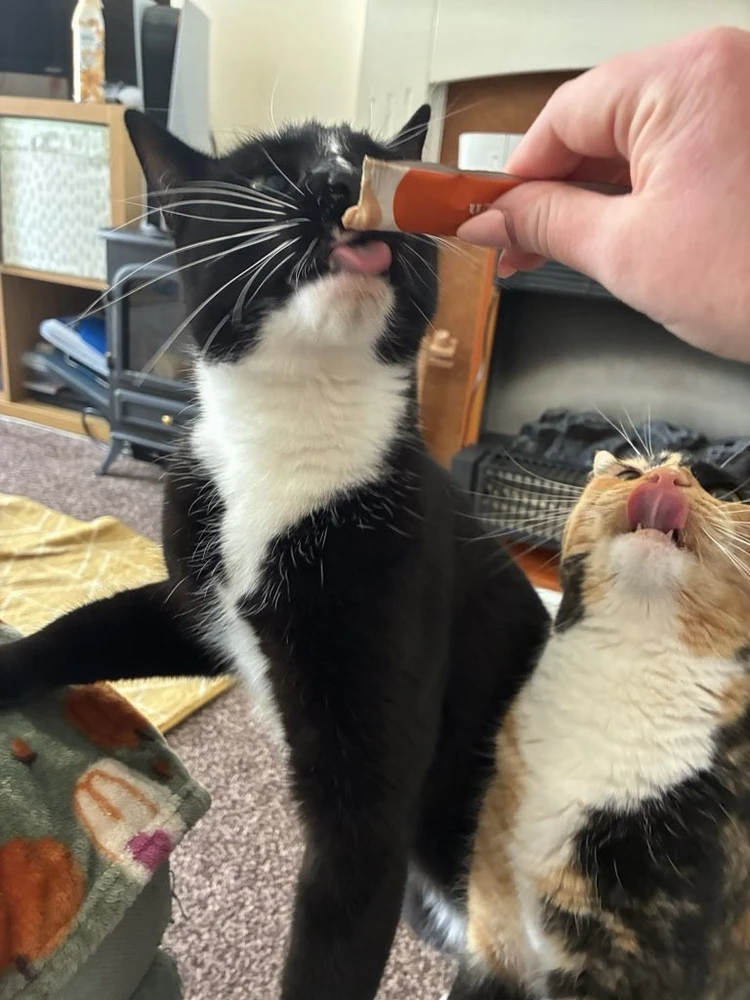 GIF uploaded by Amber