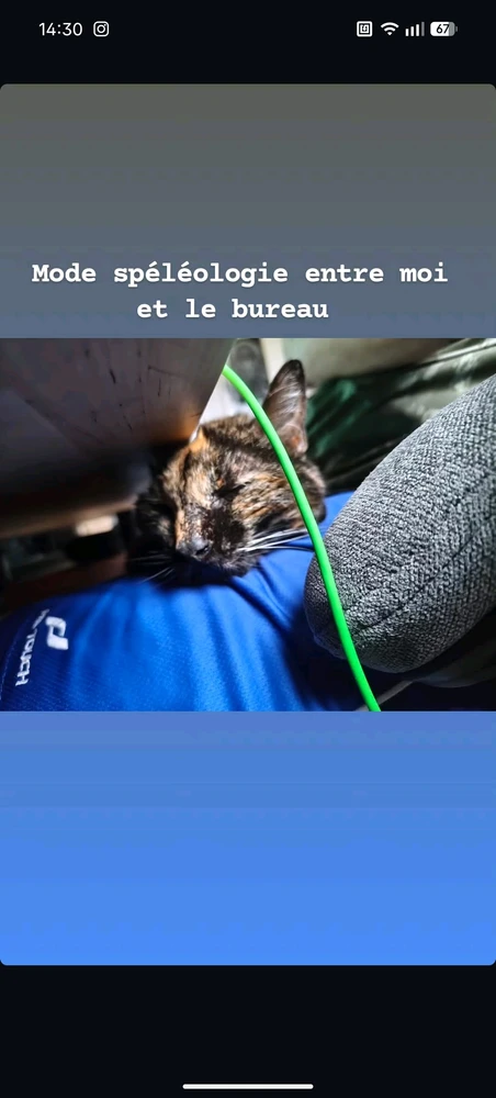 Image ajoutée par Clément