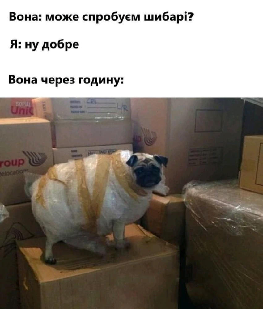 Гіфку завантажив Dima