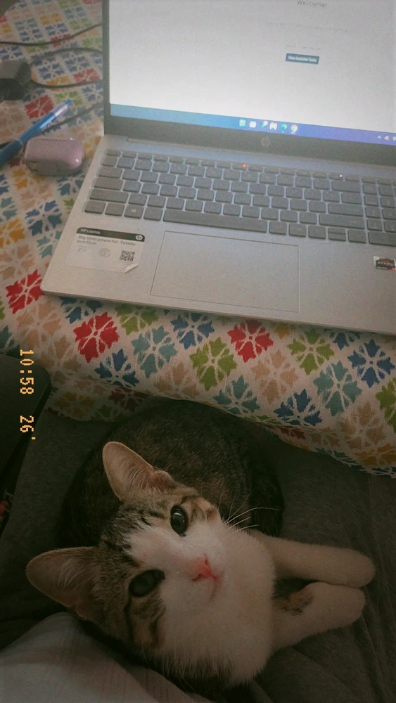 GIF uploaded by Naimah Iman