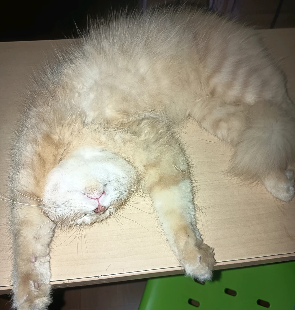 Gambar diunggah ku Aira