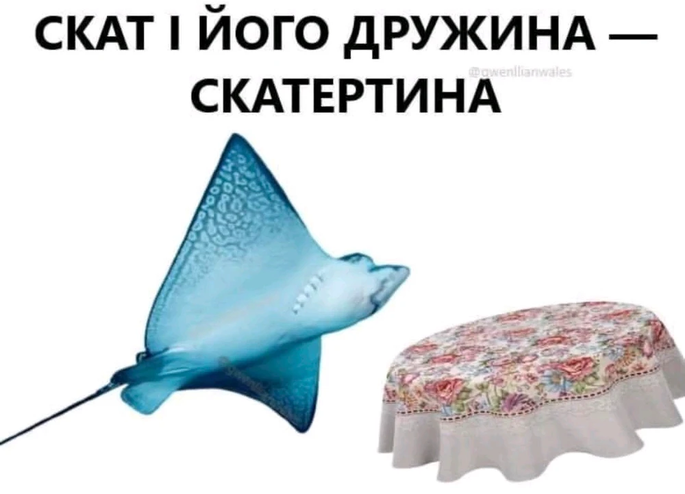 Гіфку завантажив Sophia