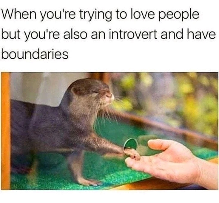 GIF uploaded by 𝓚𝓲𝓻𝓼𝓽𝓮𝓷