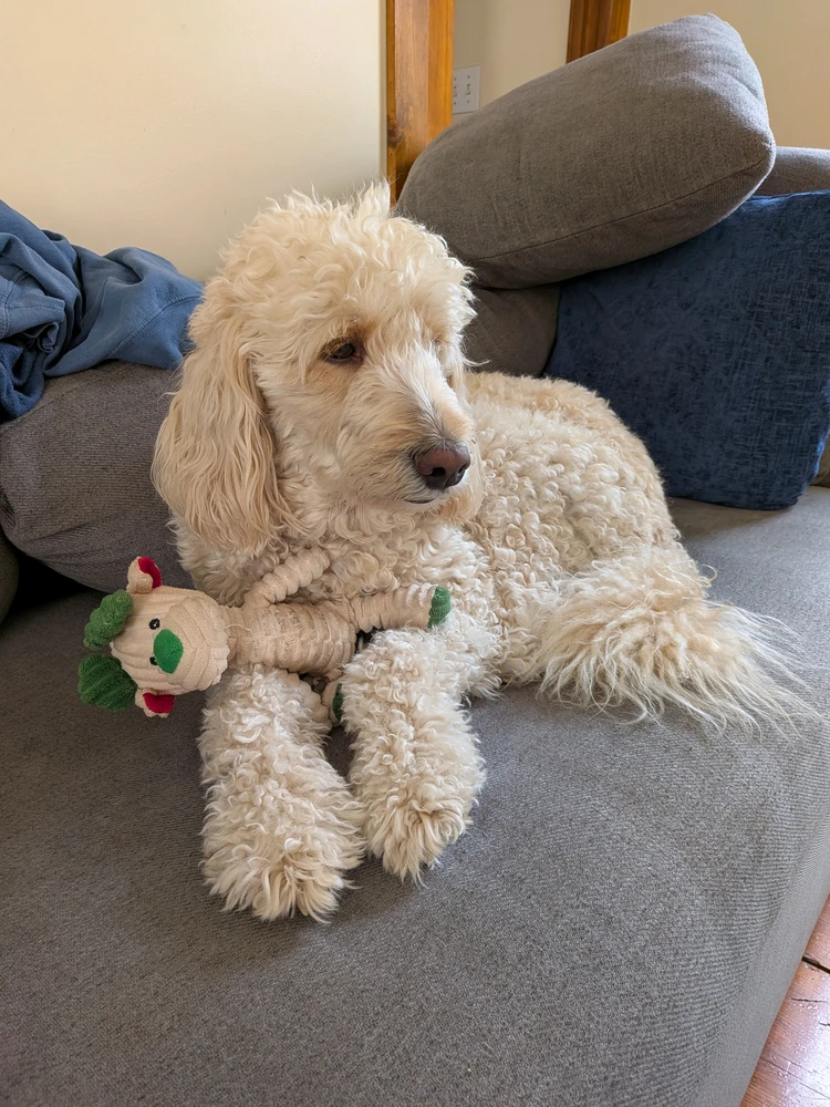 GIF uploaded by Spencer