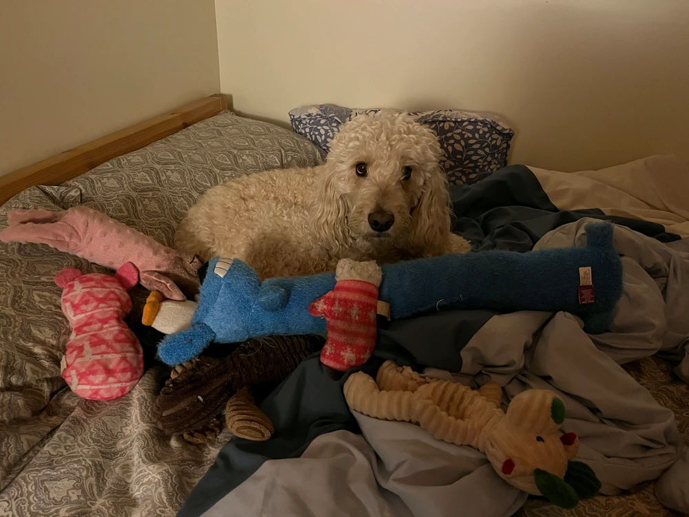 GIF uploaded by Spencer
