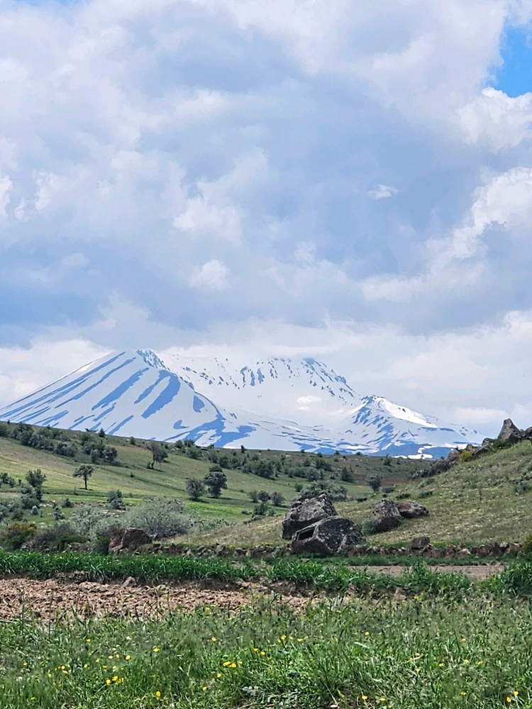 Image uploaded by Murat