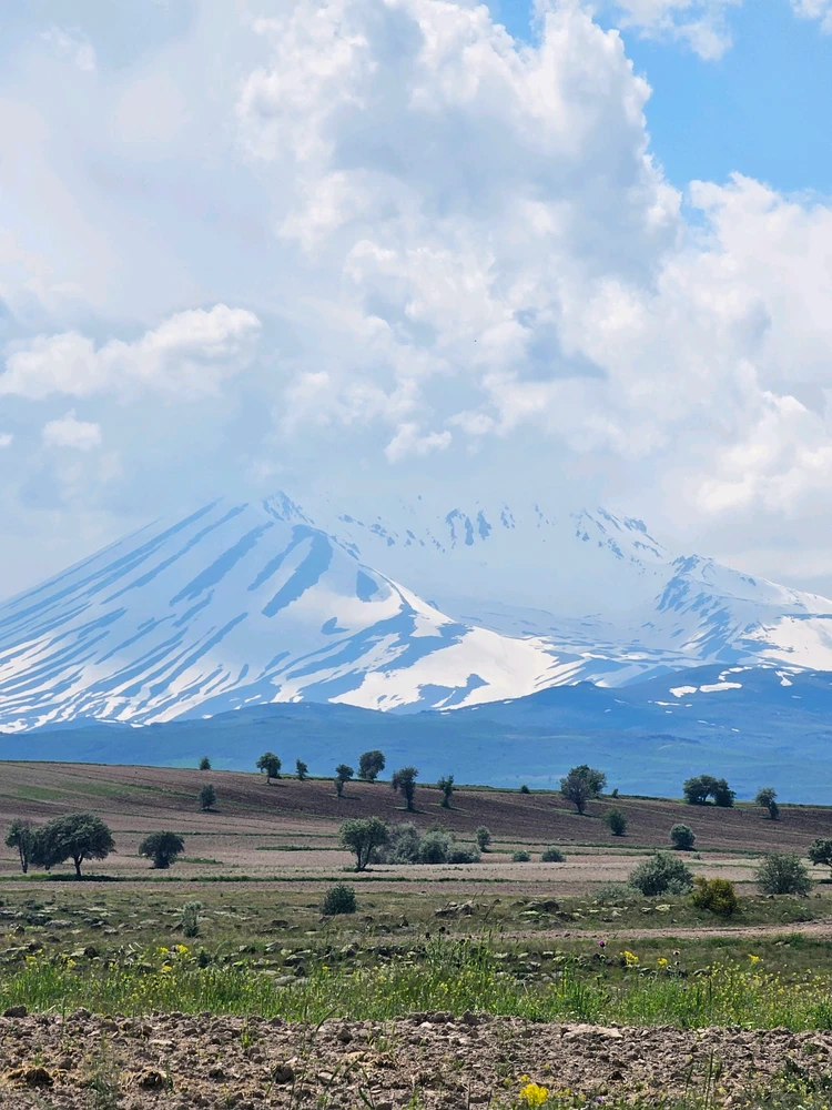 Image uploaded by Murat