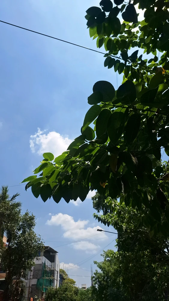 GIF uploaded by Rahul