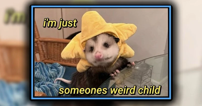 GIF uploaded by Jen
