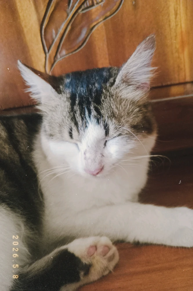 GIF diunggah oleh khansa