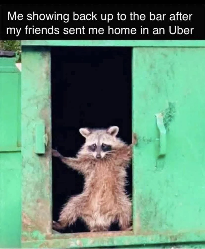 GIF uploaded by William