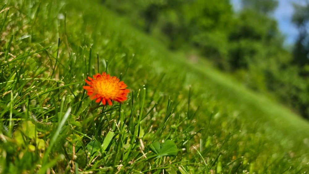 GIF uploaded by Derek