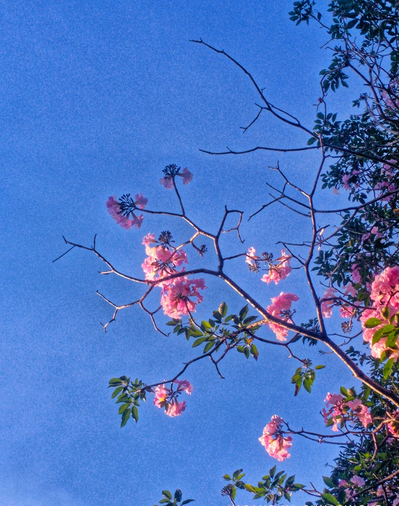 GIF uploaded by Yash
