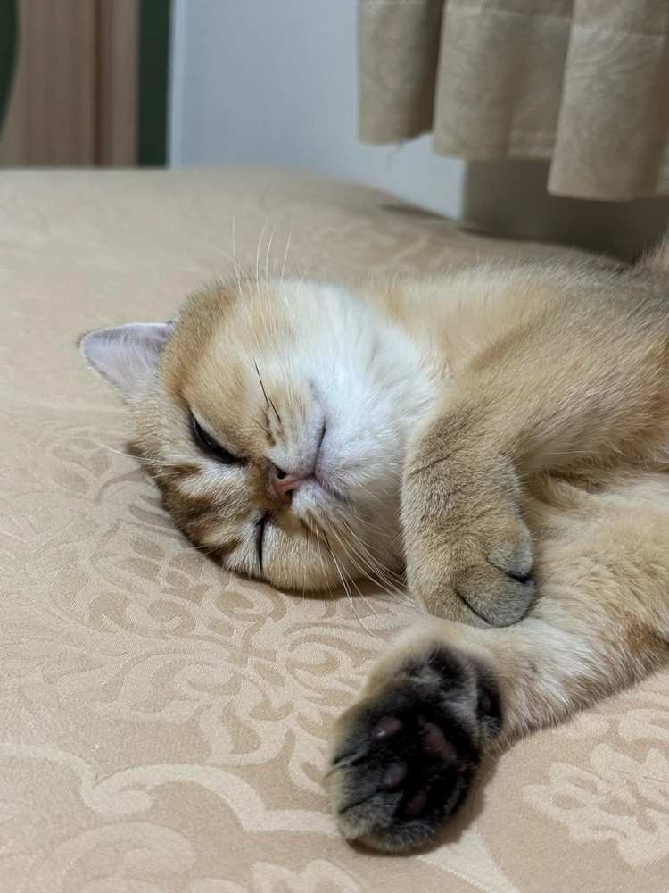 GIF uploaded by Emma
