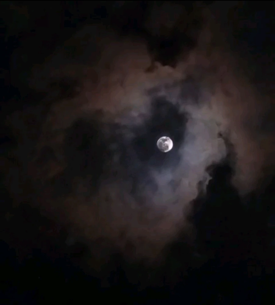 GIF uploaded by Sylen
