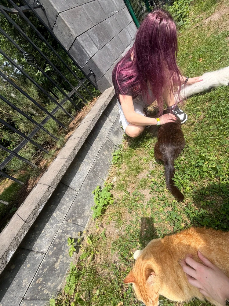 GIF uploaded by Terez