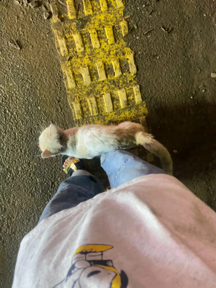 GIF uploaded by Sun,